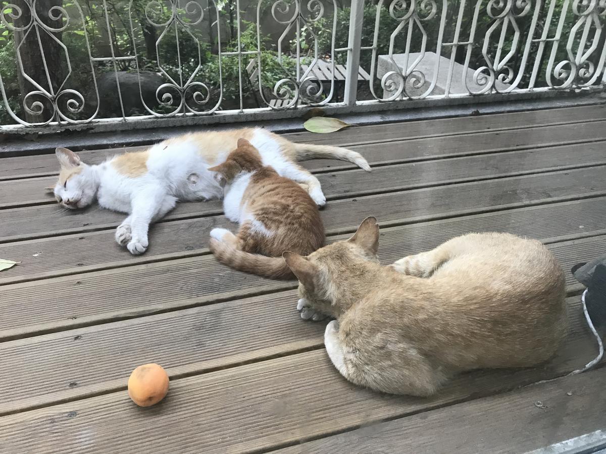 Naru Guesthouse Сеул Экстерьер фото